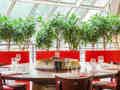ibis Paris Alésia Montparnasse - Bild 7
