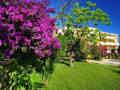 Alberi Del Paradiso - Bild 17
