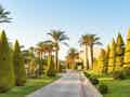 Horizon Beach Resort - Bild 33