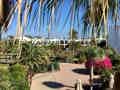 Las Marismas de Corralejo - Bild 9