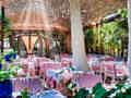 Parque Tropical - Bild 21