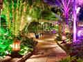 Parque Tropical - Bild 19