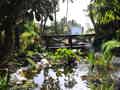 Parque Tropical - Bild 7