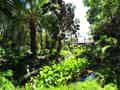 Parque Tropical - Bild 4