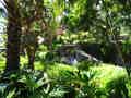 Parque Tropical - Bild 2
