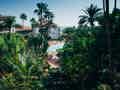 Parque Tropical - Bild 3