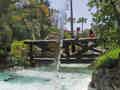 Parque Tropical - Bild 14