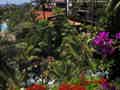 Parque Tropical - Bild 15