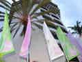 Parque Tropical - Bild 10