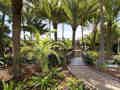 Parque Tropical - Bild 11