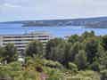 Salles Hotel Marina Portals - Bild 2