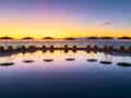 Melia La Palma - Bild 6