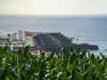 Melia La Palma - Bild 28