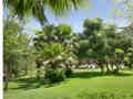 Alberi Del Paradiso - Bild 1
