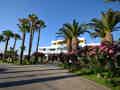 Tropical Sol  - Bild 47