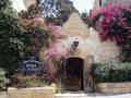 Cornucopia - Bild 4