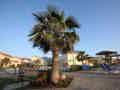 Almyros Beach Resort and Spa - Bild 9