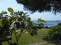 Hotel Arathena Rocks - Bild 4
