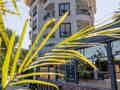 De Manor Boutique Adult Only +16  Age - Bild 9