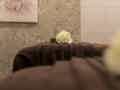 Seaview Hotel - Adults Only 16+ - Bild 18