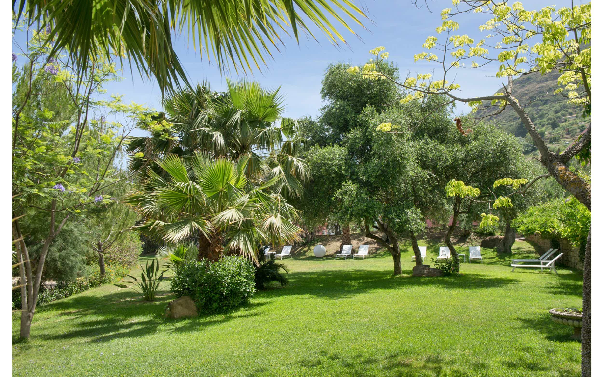 Alberi Del Paradiso
